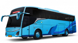 Charter Bus - Alpha Bus